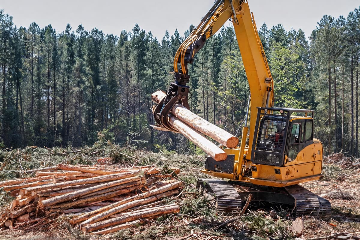 Forestry & Logging